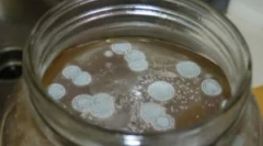 Öntőforma sós és pácolt gomba